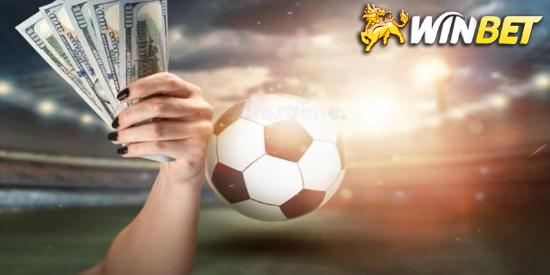 Các loại trò chơi cá cược trên Winbet